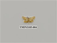 藏品(螟蛾170)的圖片